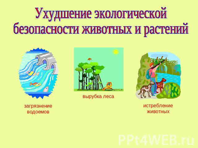 Ухудшение экологическойбезопасности животных и растений загрязнение водоемов вырубка леса истребление животных