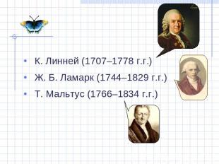 К. Линней (1707–1778 г.г.) Ж. Б. Ламарк (1744–1829 г.г.) Т. Мальтус (1766–1834 г