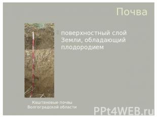 Почва поверхностный слой Земли, обладающий плодородием Каштановые почвы Волгогра