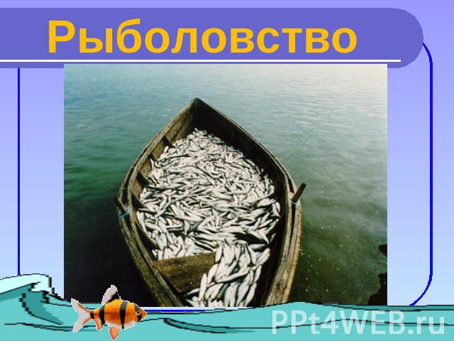 Рыболовство