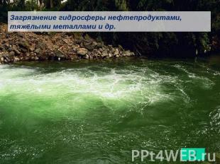 Загрязнение гидросферы нефтепродуктами, тяжёлыми металлами и др.