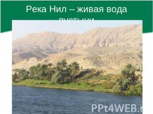 Река Нил – живая вода пустыни
