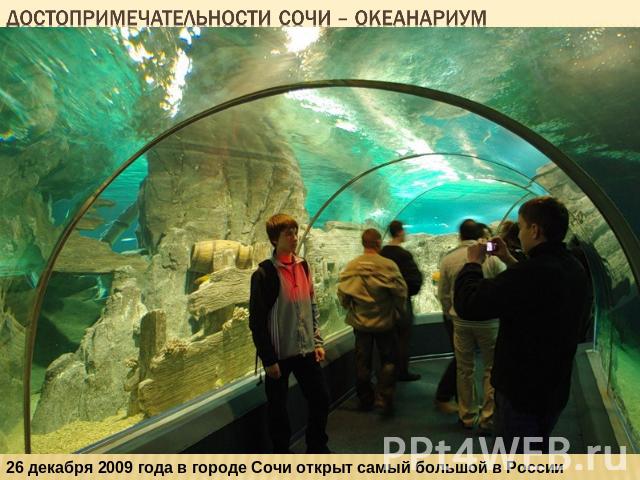 Достопримечательности сочи – океанариум 26 декабря 2009 года в городе Сочи открыт самый большой в России океанариум