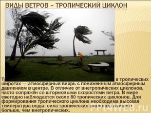 Виды ветров – тропический циклон Тропический циклон — циклон, образовавшийся в т