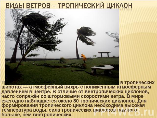 Виды ветров – тропический циклон Тропический циклон — циклон, образовавшийся в тропических широтах — атмосферный вихрь с пониженным атмосферным давлением в центре. В отличие от внетропических циклонов, часто сопряжён со штормовыми скоростями ветра. …