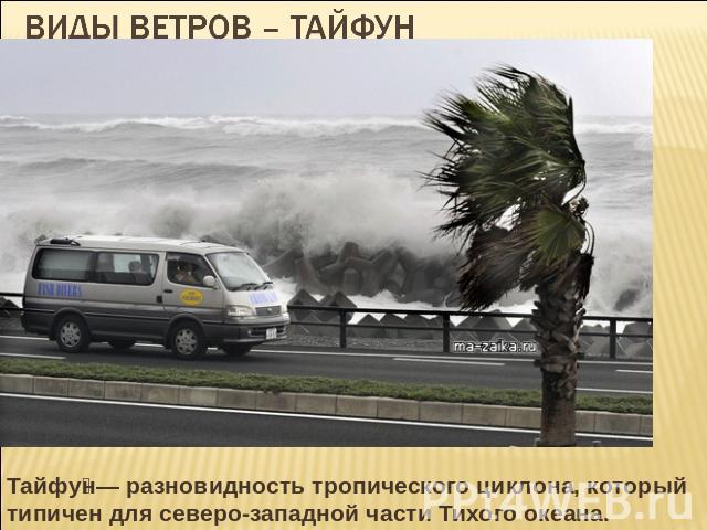 Виды ветров – тайфун Тайфун— разновидность тропического циклона, который типичен для северо-западной части Тихого океана.