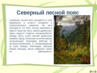Северный лесной пояс Северный лесной пояс находится в зоне умеренного и отчасти