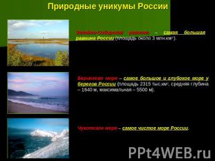 Природные уникумы России Западно-Сибирская равнина – самая большая равнина Росси