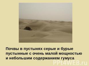 Почвы в пустынях серые и бурые пустынные с очень малой мощностью и небольшим сод