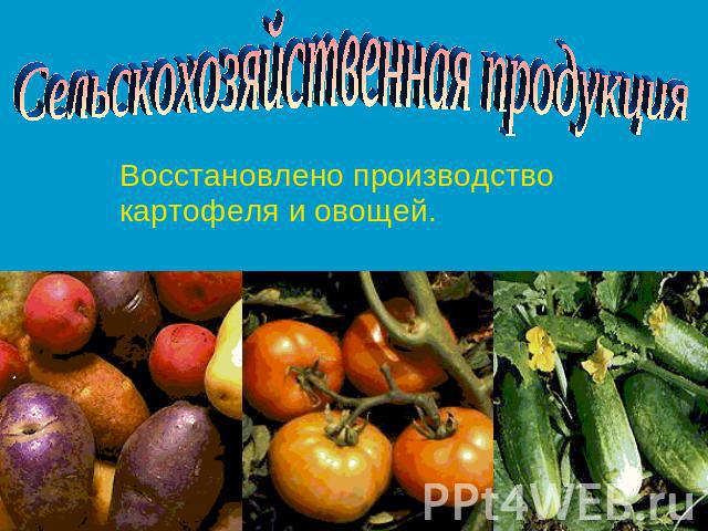 Сельскохозяйственная продукция Восстановлено производство картофеля и овощей.
