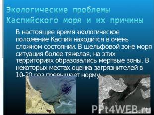 Экологические проблемы Каспийского моря и их причины В настоящее время экологиче