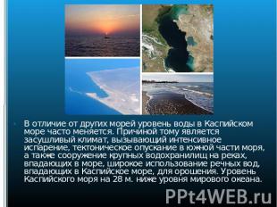 В отличие от других морей уровень воды в Каспийском море часто меняется. Причино