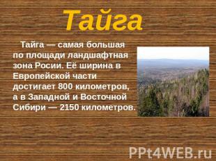 Тайга Тайга — самая большая по площади ландшафтная зона Росии. Её ширина в Европ