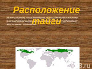 Расположение тайги Зона занимает среди природных зон России наибольшую площадь,