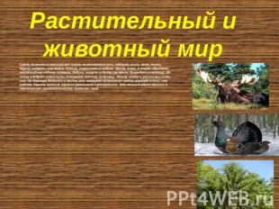 Растительный и животный мир Среди животных российской тайги выделяются лось, каб