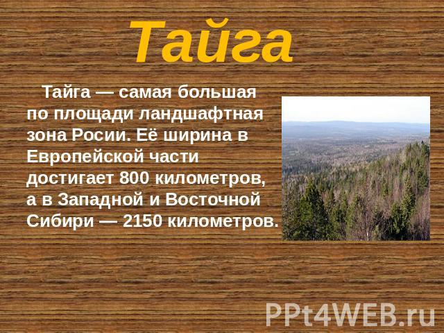 Тайга Тайга — самая большая по площади ландшафтная зона Росии. Её ширина в Европейской части достигает 800 километров, а в Западной и Восточной Сибири — 2150 километров.