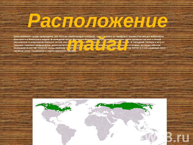 Расположение тайги Зона занимает среди природных зон России наибольшую площадь, простираясь от западных границ России до побережья Охотского и Японского морей. В западной части Восточно-Европейской (Русской) равнины тайга граничит на юге с зоной сме…