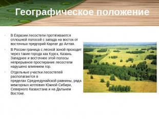 Географическое положение В Евразии лесостепи протягиваются сплошной полосой с за