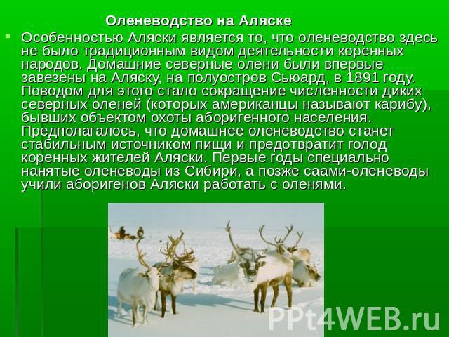 Реферат: Ненецкая аборигенная порода северных оленей