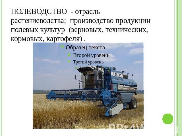 ПОЛЕВОДСТВО - отрасль растениеводства; производство продукции полевых культур (зерновых, технических, кормовых, картофеля) .