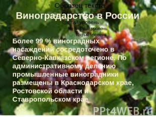 Виноградарство в России Более 99 % виноградных насаждений сосредоточено в Северн