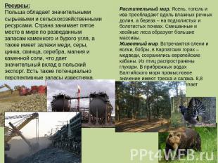 Ресурсы:Польша обладает значительными сырьевыми и сельскохозяйственными ресурсам
