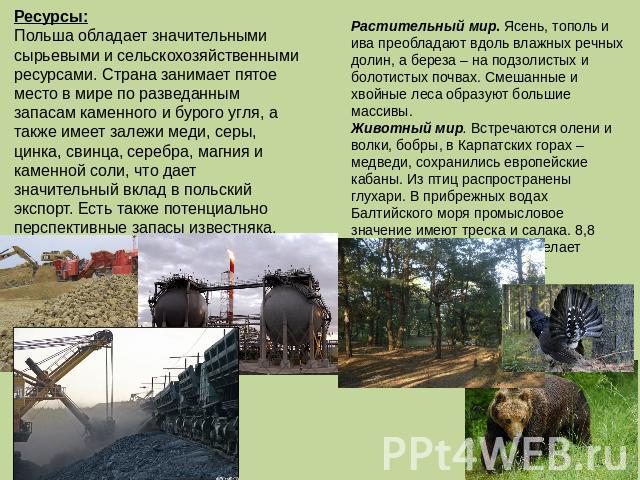 Ресурсы:Польша обладает значительными сырьевыми и сельскохозяйственными ресурсами. Страна занимает пятое место в мире по разведанным запасам каменного и бурого угля, а также имеет залежи меди, серы, цинка, свинца, серебра, магния и каменной соли, чт…