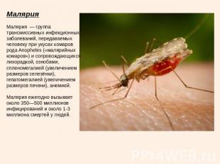 Малярия Малярия — группа трансмиссивных инфекционных заболеваний, передаваемых ч
