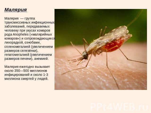 Малярия Малярия — группа трансмиссивных инфекционных заболеваний, передаваемых человеку при укусах комаров рода Anopheles («малярийных комаров») и сопровождающихся лихорадкой, ознобами, спленомегалией (увеличением размеров селезёнки), гепатомегалией…