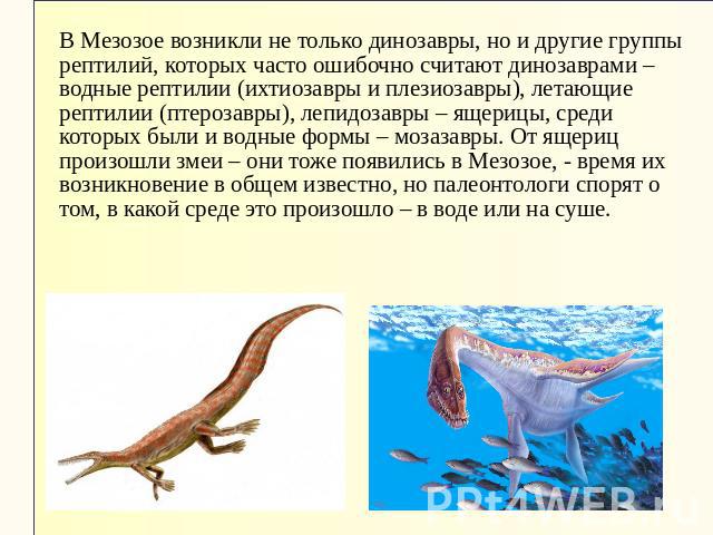 В Мезозое возникли не только динозавры, но и другие группы рептилий, которых часто ошибочно считают динозаврами – водные рептилии (ихтиозавры и плезиозавры), летающие рептилии (птерозавры), лепидозавры – ящерицы, среди которых были и водные формы – …