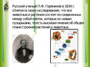 Русский ученый П.Ф. Горянинов в 1834 г. отметил в своих исследованиях, что все ж