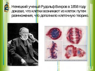 Немецкий ученый Рудольф Вихров в 1858 году доказал, что клетки возникают из клет