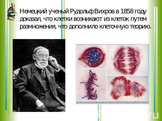 Немецкий ученый Рудольф Вихров в 1858 году доказал, что клетки возникают из клеток путем размножения, что дополнило клеточную теорию.