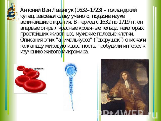 Антоний Ван Левенгук (1632–1723) – голландский купец, завоевал славу ученого, подарив науке величайшие открытия. В период с 1632 по 1719 гг. он впервые открыл красные кровяные тельца, некоторых простейших животных, мужские половые клетки. Описания э…