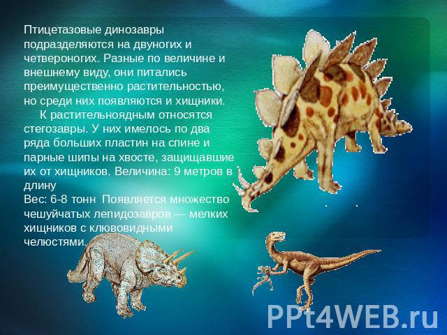 Птицетазовые динозавры подразделяются на двуногих и четвероногих. Разные по величине и внешнему виду, они питались преимущественно растительностью, но среди них появляются и хищники.      К растительноядным относятся стегозавры. У них имелось по два…