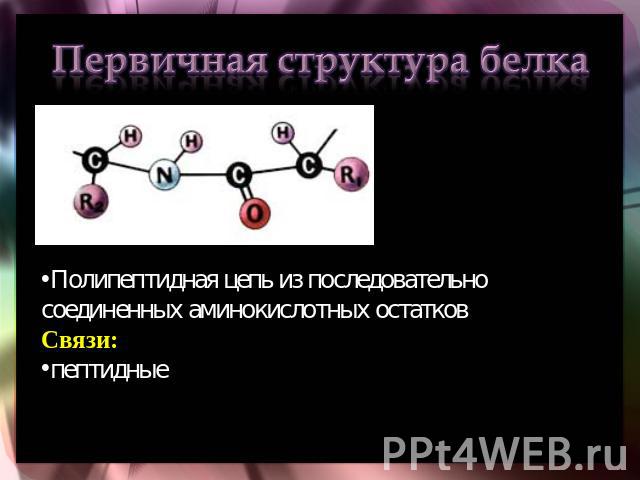 Первичная структура белка Полипептидная цепь из последовательно соединенных аминокислотных остатковСвязи:пептидные