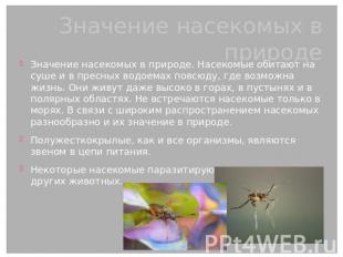 Значение насекомых в природе Значение насекомых в природе. Насекомые обитают на