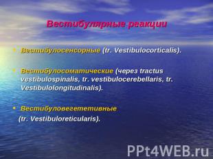 Вестибулярные реакции Вестибулосенсорные (tr. Vestibulocorticalis).Вестибулосома