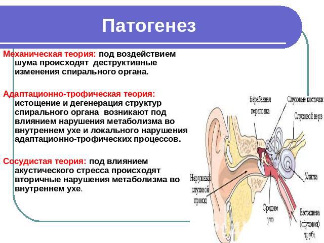 Патогенез Механическая теория: под воздействием шума происходят деструктивные изменения спирального органа. Адаптационно-трофическая теория: истощение и дегенерация структур спирального органа возникают под влиянием нарушения метаболизма во внутренн…