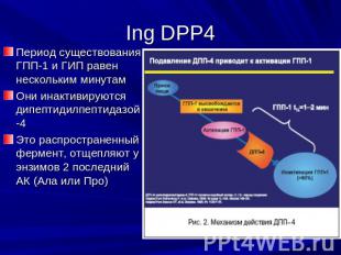 Ing DPP4 Период существования ГПП-1 и ГИП равен нескольким минутамОни инактивиру