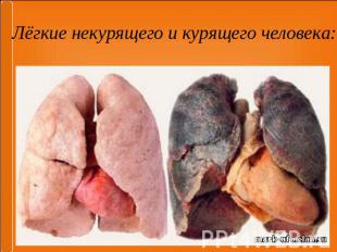 Лёгкие некурящего и курящего человека: