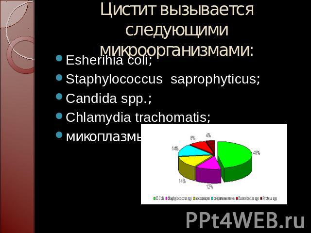 Цистит вызывается следующими микроорганизмами: Esherihia coli;Staphylococcus saprophyticus;Candida spp.;Chlamydia trachomatis;микоплазмы..