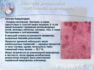 klebsiella pneumoniae (клебсиелла пневмонии) палочка Фридлендера Условно-патоген