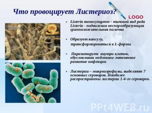 Что провоцирует Листериоз? Listeria monocytogenes - типовой вид рода Listeria -