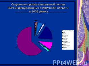 Социально-профессиональный состав ВИЧ-инфицированных в Иркутской области в 2006