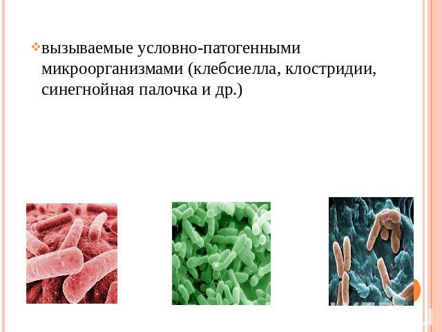 вызываемые условно-патогенными микроорганизмами (клебсиелла, клостридии, синегнойная палочка и др.)