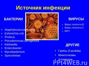 Источник инфекции БАКТЕРИИ Staphylococcus aureusEsherichia coliProteusPseudomona