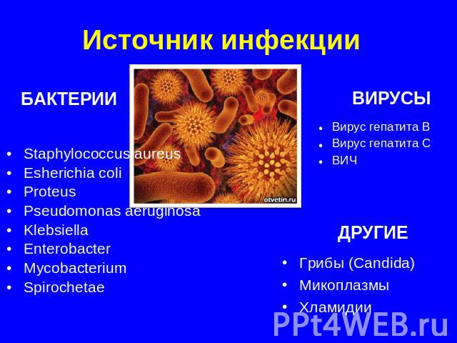 Источник инфекции БАКТЕРИИ Staphylococcus aureusEsherichia coliProteusPseudomonas aeruginosaKlebsiellaEnterobacterMycobacteriumSpirochetae ВИРУСЫ Вирус гепатита ВВирус гепатита СВИЧДРУГИЕГрибы (Candida)МикоплазмыХламидии