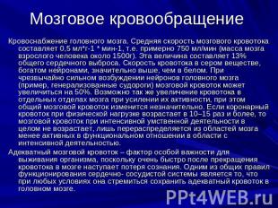 Мозговое кровообращение Кровоснабжение головного мозга. Средняя скорость мозгово