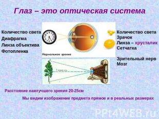 Глаз – это оптическая система Количество светаДиафрагмаЛинза объективаФотопленка